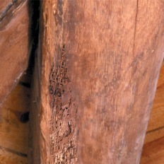 6 conseils pour protéger et entretenir ou rénover le bois efficacement en Belgique