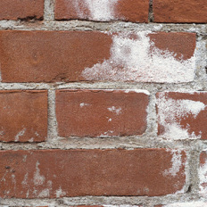 Qu’est-ce qu’une efflorescence et comment s’en débarrasser ?