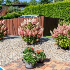 Où trouver du gravier décoratif pour mes aménagements extérieurs en Belgique ?